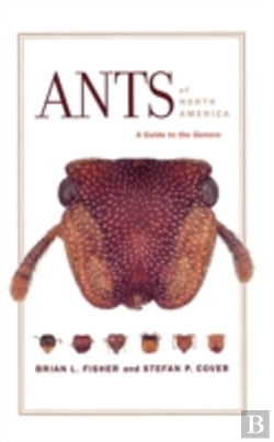 Bertrand.pt - Ants Of North America