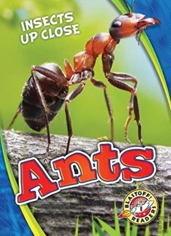 Bertrand.pt - Ants