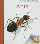 Ants