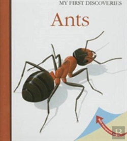 Bertrand.pt - Ants