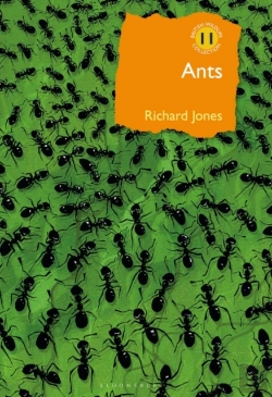 Bertrand.pt - Ants