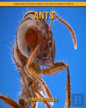 Ants