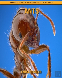 Bertrand.pt - Ants