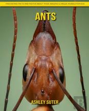 Ants