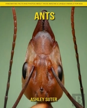 Ants