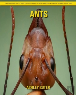 Bertrand.pt - Ants