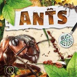 Bertrand.pt - Ants