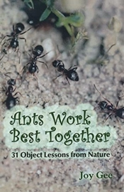 Ants Work Best Together