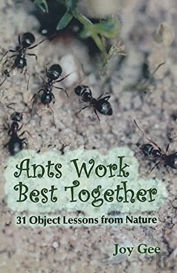 Bertrand.pt - Ants Work Best Together
