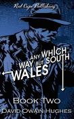 Any Which Way But South Wales