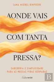 Aonde Vais com Tanta Pressa?