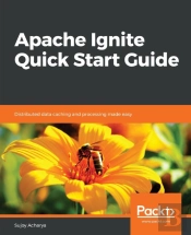 Apache Ignite Quick Start Guide
