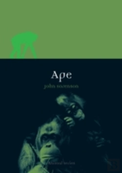 Bertrand.pt - Ape
