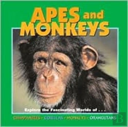 Bertrand.pt - Apes And Monkeys