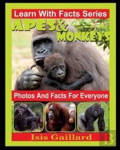 Apes And Monkeys Photos And Facts For Everyone