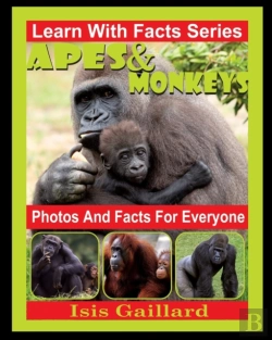 Bertrand.pt - Apes And Monkeys Photos And Facts For Everyone