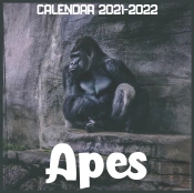 Apes Calendar 2021-2022