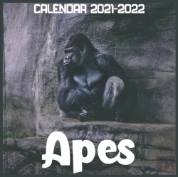 Bertrand.pt - Apes Calendar 2021-2022