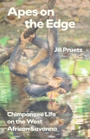 Apes On The Edge
