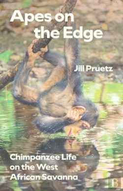 Bertrand.pt - Apes On The Edge