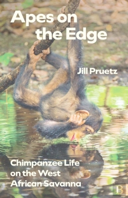 Bertrand.pt - Apes On The Edge