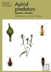 Aphid Predators
