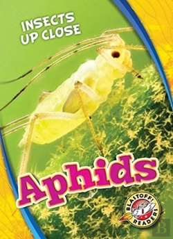 Bertrand.pt - Aphids