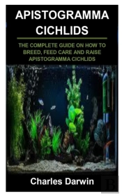 Apistogramma Cichlids