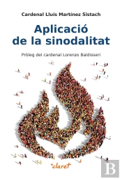 Aplicacio De La Sinodalitat