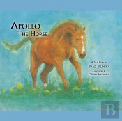 Apollo The Horse