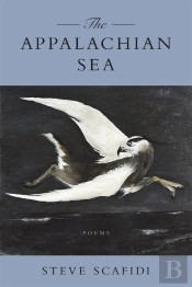 Appalachian Sea