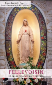 Apparitions De Pellevoisin La Misericorde Au Feminin (Les)