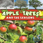 Apple Trees And The Seasons