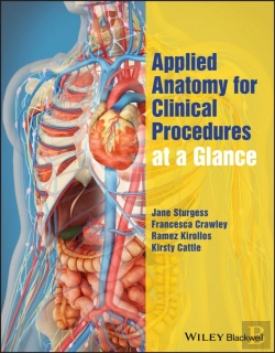 Bertrand.pt - Applied Anatomy For Clinical Procedures At A Glance
