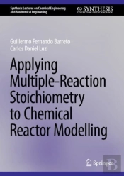 Applying Multiple-Reaction Stoichiometry To Chemical Reactor Modelling