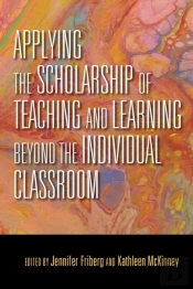 Applying The Scholarship Of Teaching And Learning Beyond The Individual Classroom