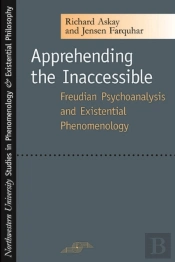 Apprehending The Inaccessible