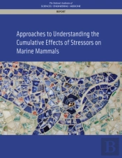 Approaches To Understanding The Cumulative Effects Of Stressors On Marine Mammals