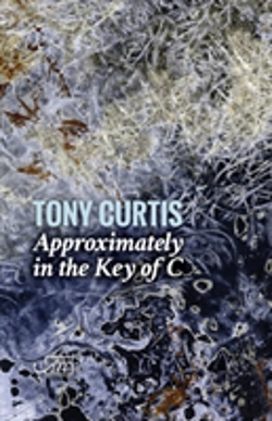 Bertrand.pt - Approximately In The Key Of C