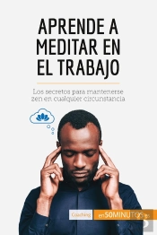 Aprende A Meditar En El Trabajo : Los Secretos Para Mantenerse Zen En Cualquier Circunstancia