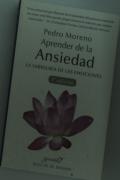Aprender De La Ansiedad