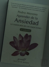 Aprender De La Ansiedad