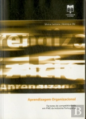 Aprendizagem Organizacional