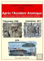 Apres L Accident Atomique