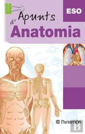Apunts D'Anatomia
