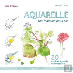 Bertrand.pt - Aquarelle