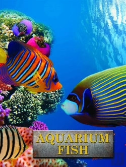 Bertrand.pt - Aquarium Fish