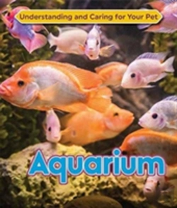 Bertrand.pt - Aquarium