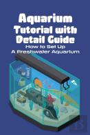 Aquarium Tutorial With Detail Guide