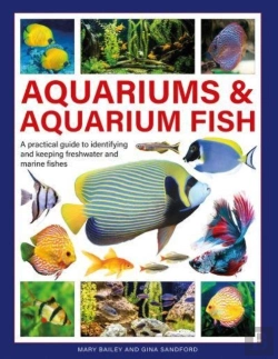 Bertrand.pt - Aquariums & Aquarium Fish